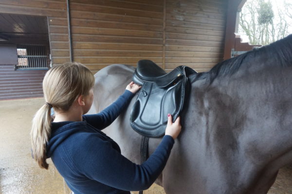 Photograph of a lady checking the saddle on a horse.