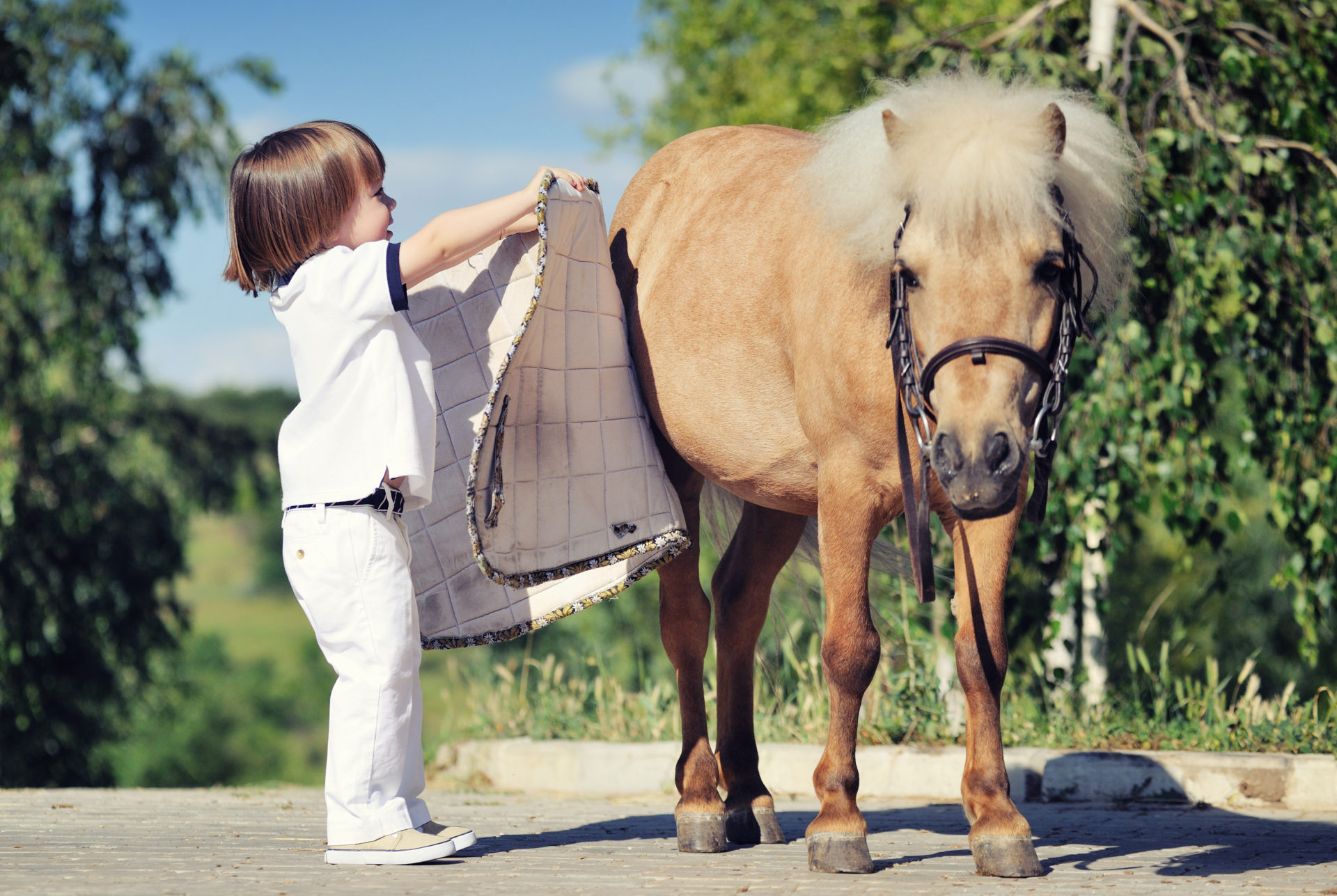 Photograph of a child and a horse