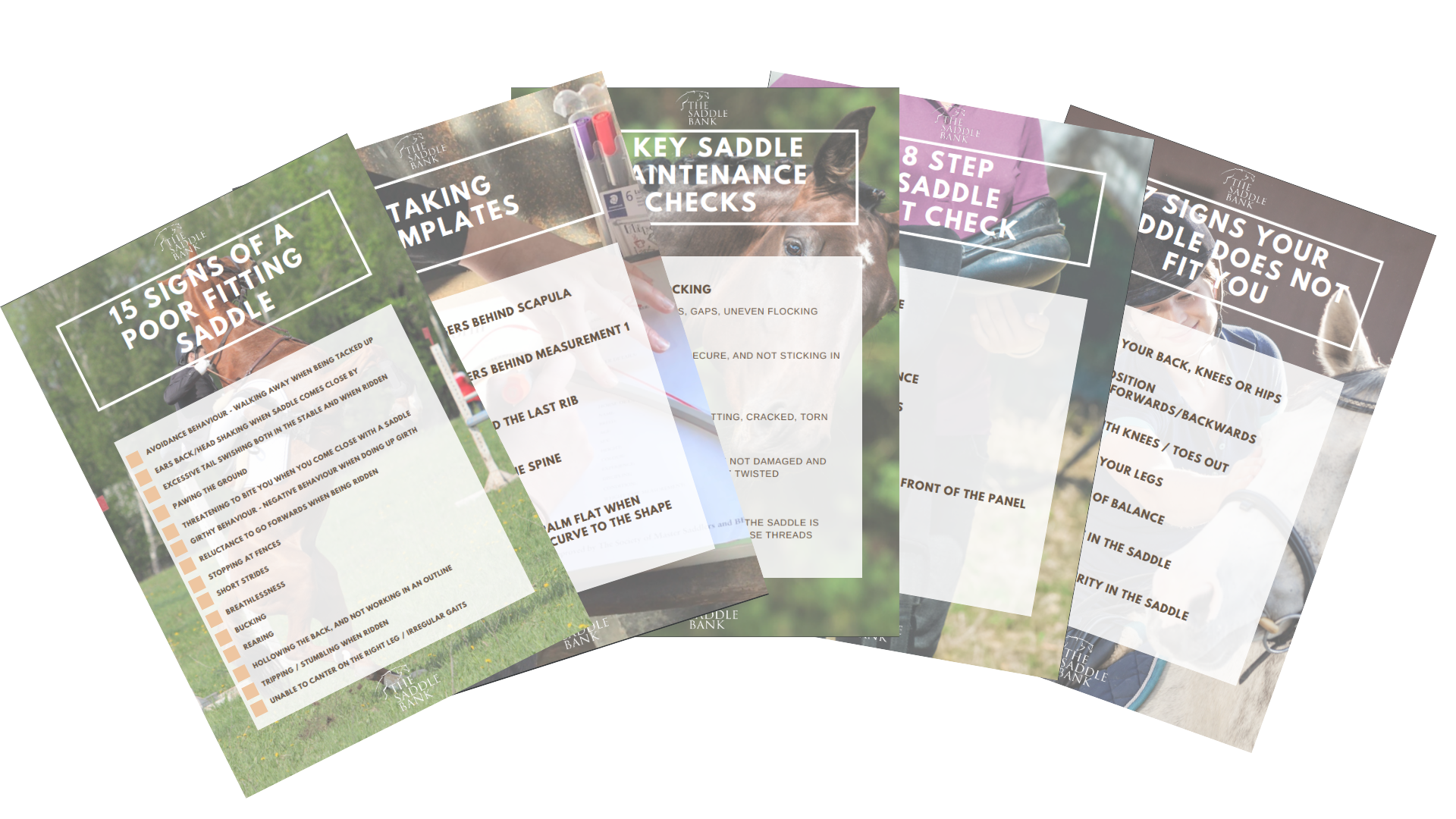 See what's included in our online horse course Photograph of online horse course guides