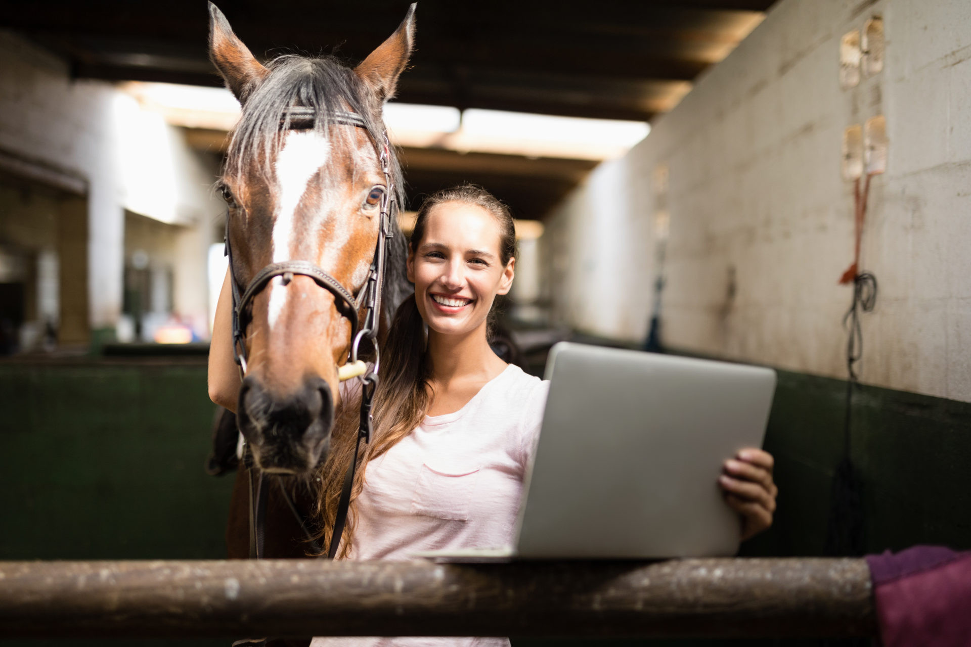 Photograph of a lady with a laptop computer and horse