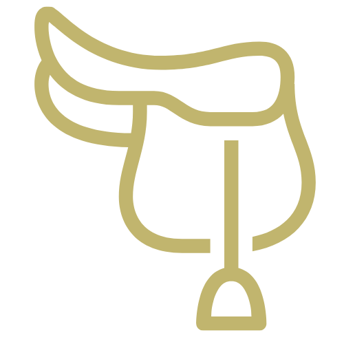 Icon of a saddle