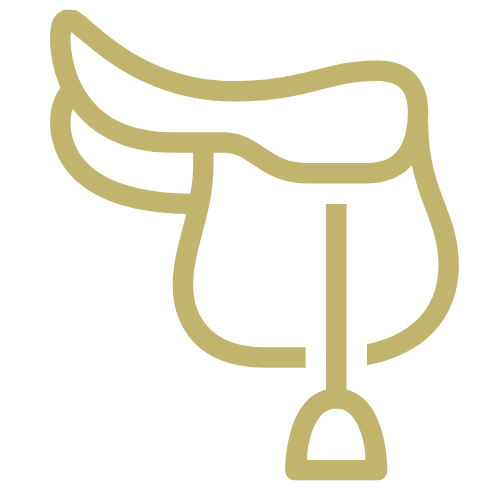Return a saddle Icon of a saddle