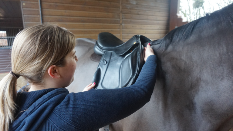 MSFC Saddle Fitter