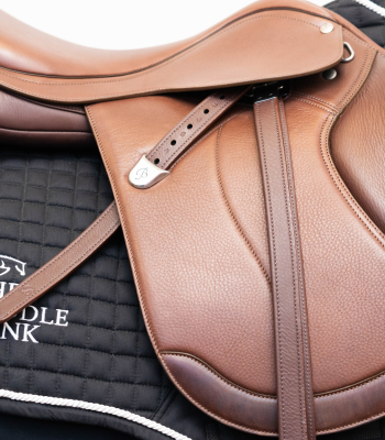 Stirrup Leathers image