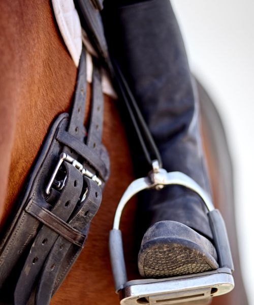 Photograph of saddle accessories