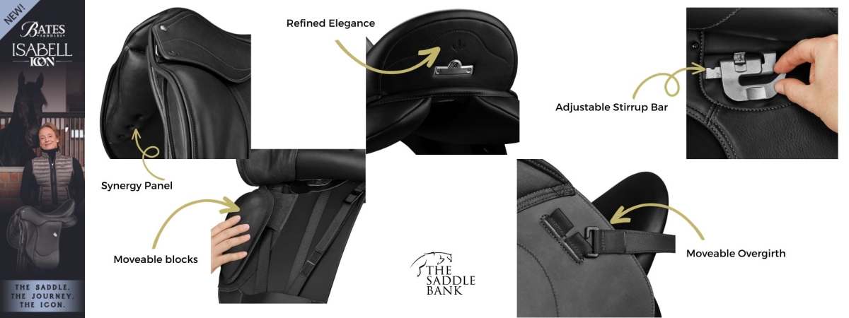 dual flap dressage kieffer alternative