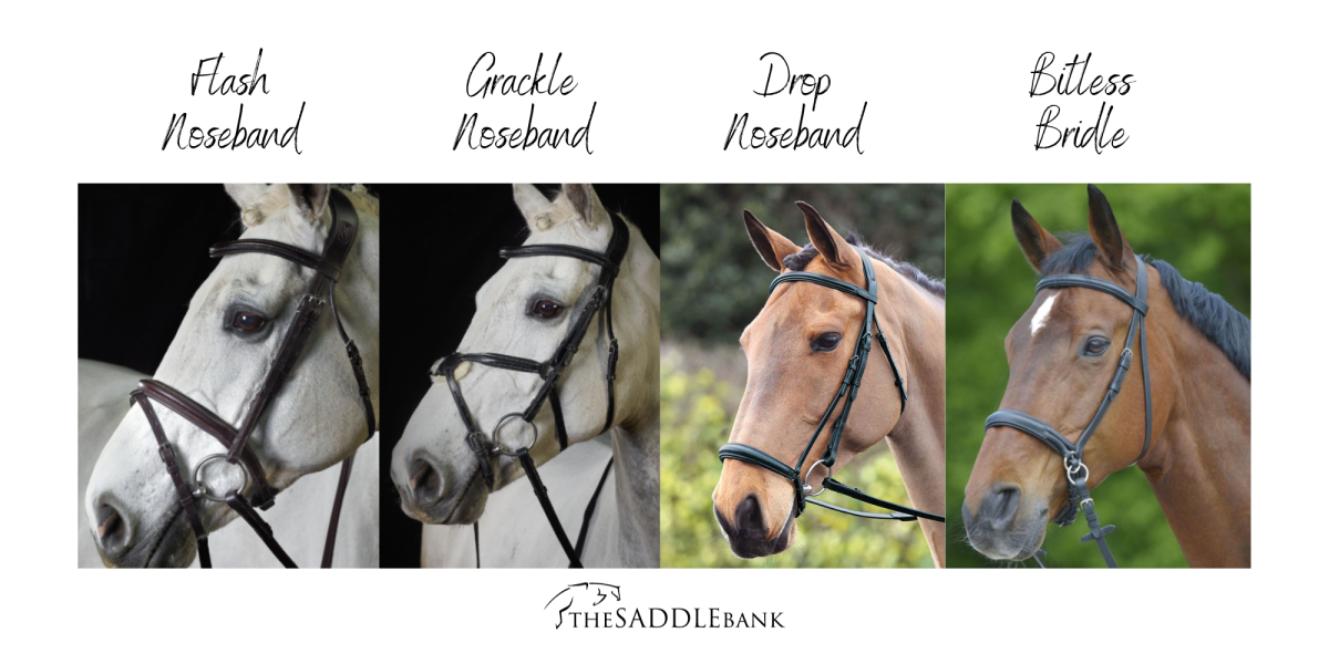 Bridle Options