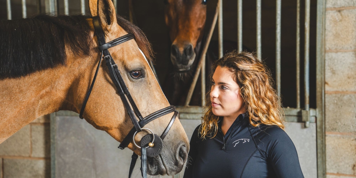 Bridle on horse