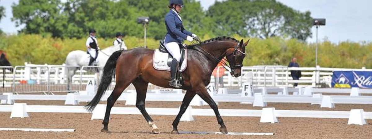 british dressage