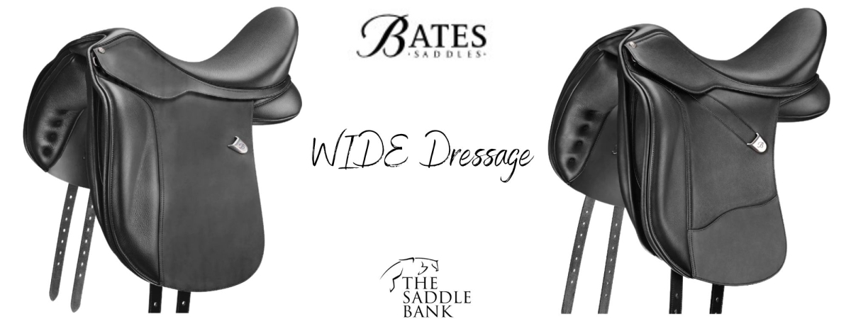 cob dressage