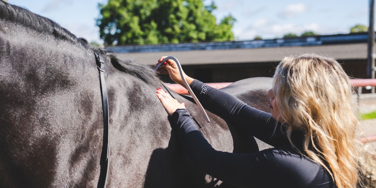 Local Saddle Fitting