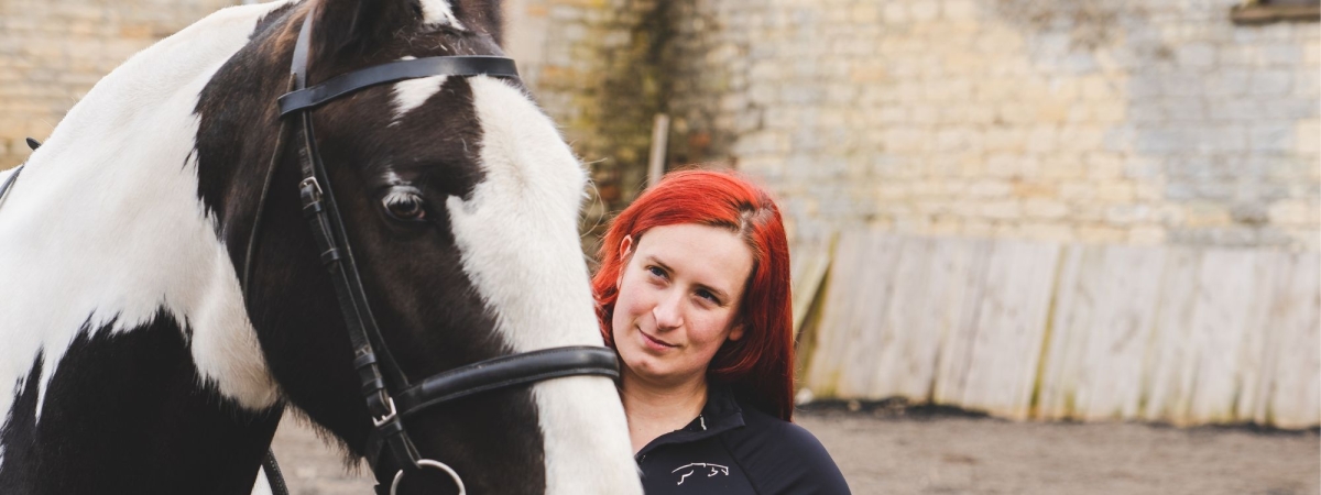 piebald horse piebald horse