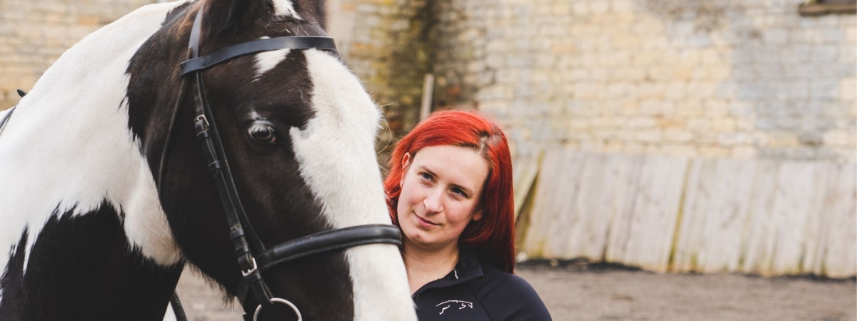 piebald horse