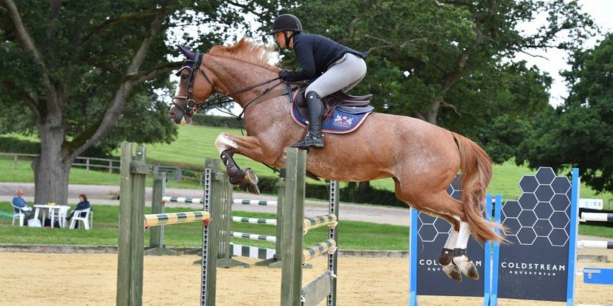 Chestnut Roan Horse