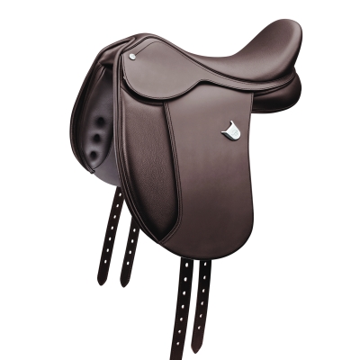 Image of Bates Pony Dressage
