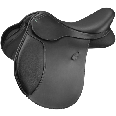 Image of Arena Pony GP
