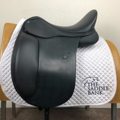 Image of Arena Dressage