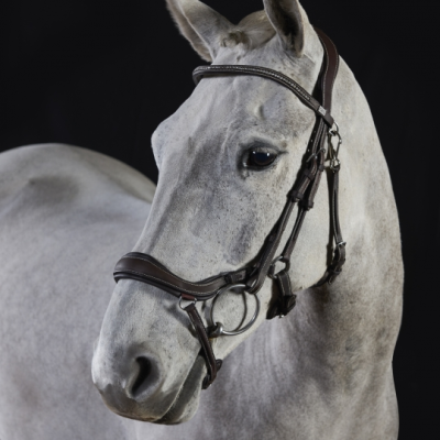 Image of GFS Premier Prosperity Anatomical Bridle