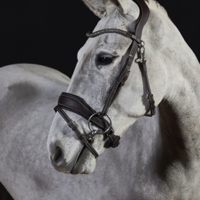 Image of GFS Premier Prime Flash Bridle