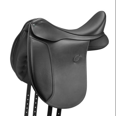 Image of Arena Pony Dressage