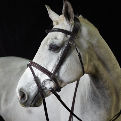Image of GFS PS Flash Bridle