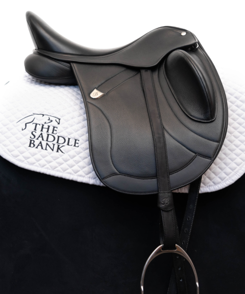 Photograph of saddles