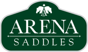 Arena logo