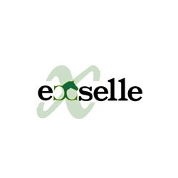 Exselle logo