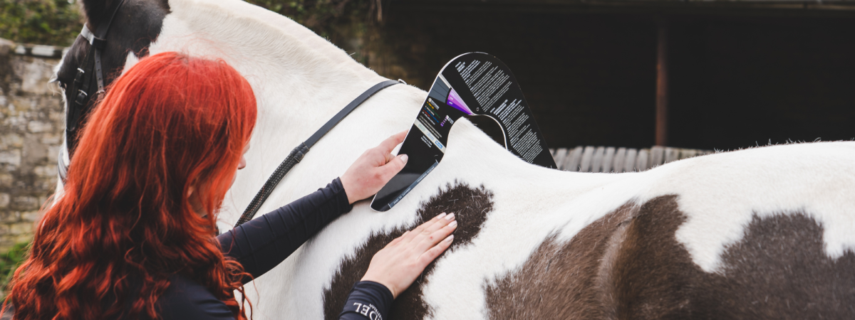 adjustable dressage saddle adjustable dressage saddle