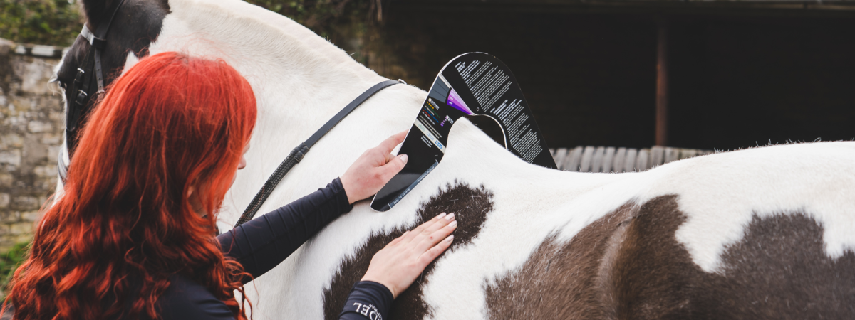 adjustable dressage saddle