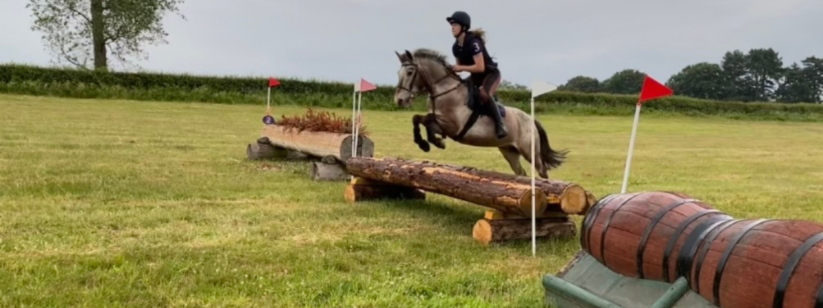 monarch pony jump saddle