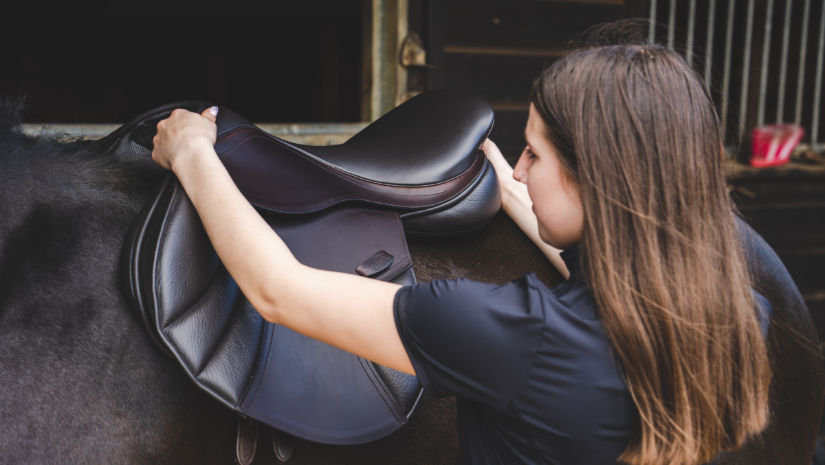 Fitting Albion K2 Jump saddle