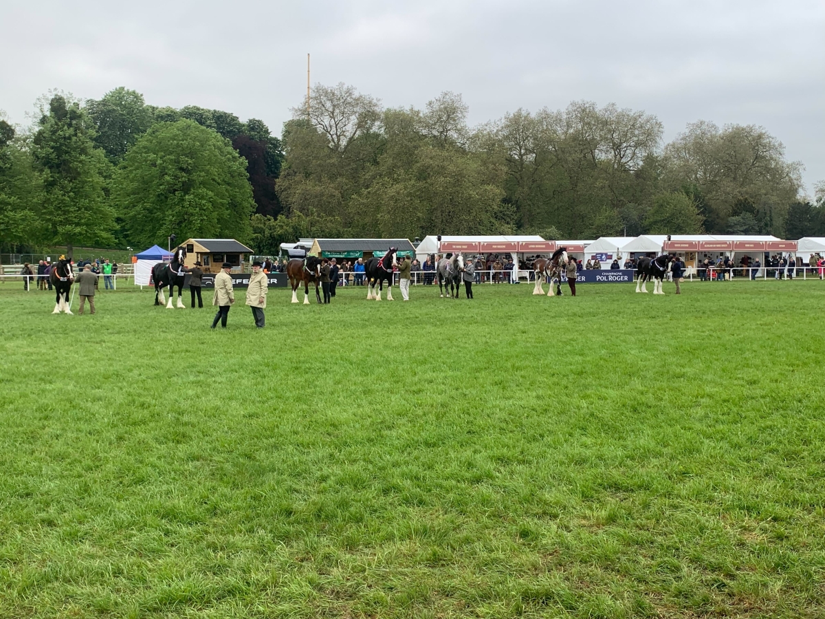 Royal Windsor Horse Show