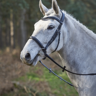 Image of GFS Simplicity Bridle