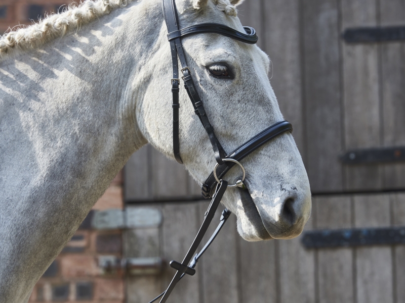 GFS Simplicity Bridle The Saddle Bank