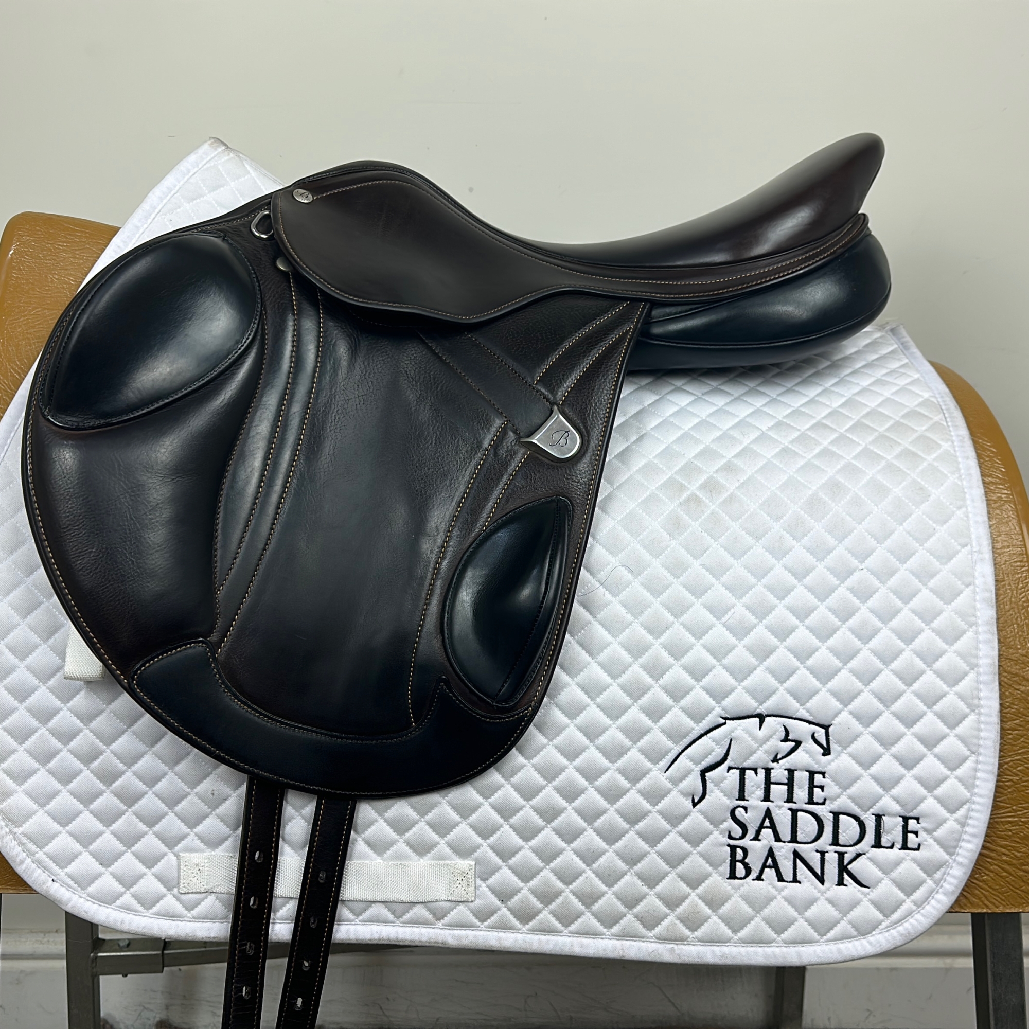 Saddle Length ~ Is my Saddle Too Long? ~ Synergist Saddles