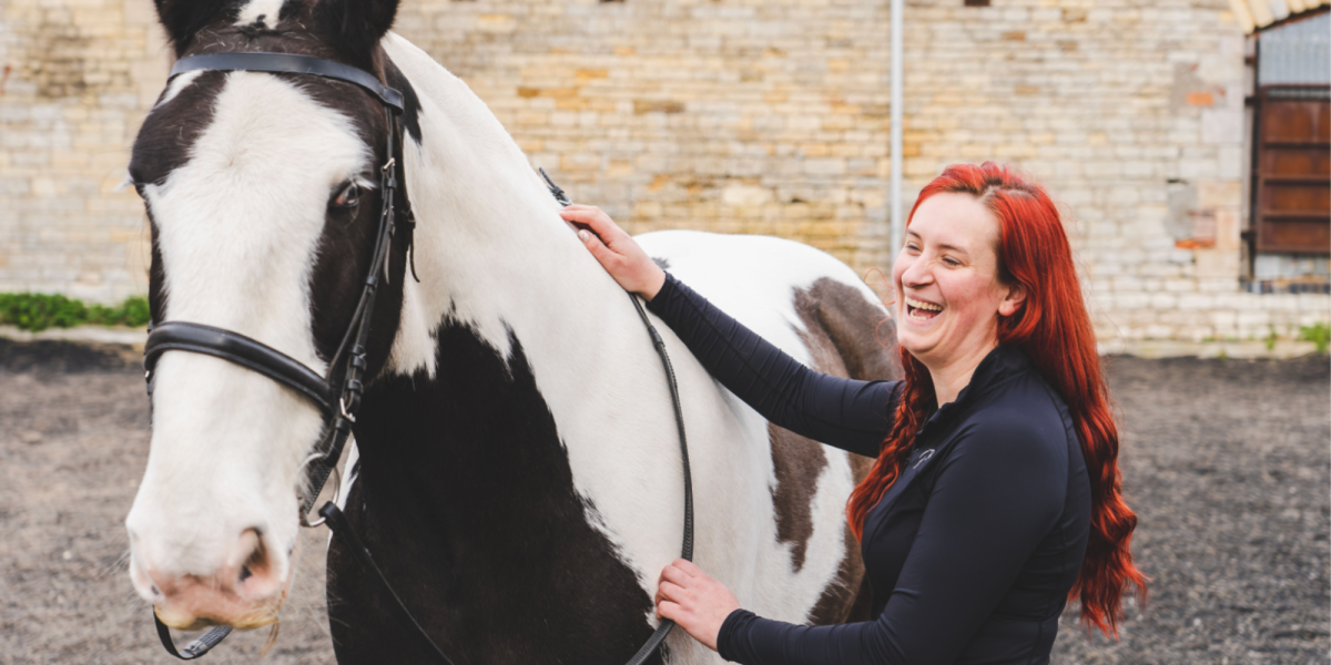 What is a cob horse? Cob horse