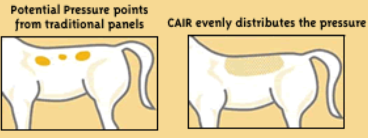 CAIR Panels