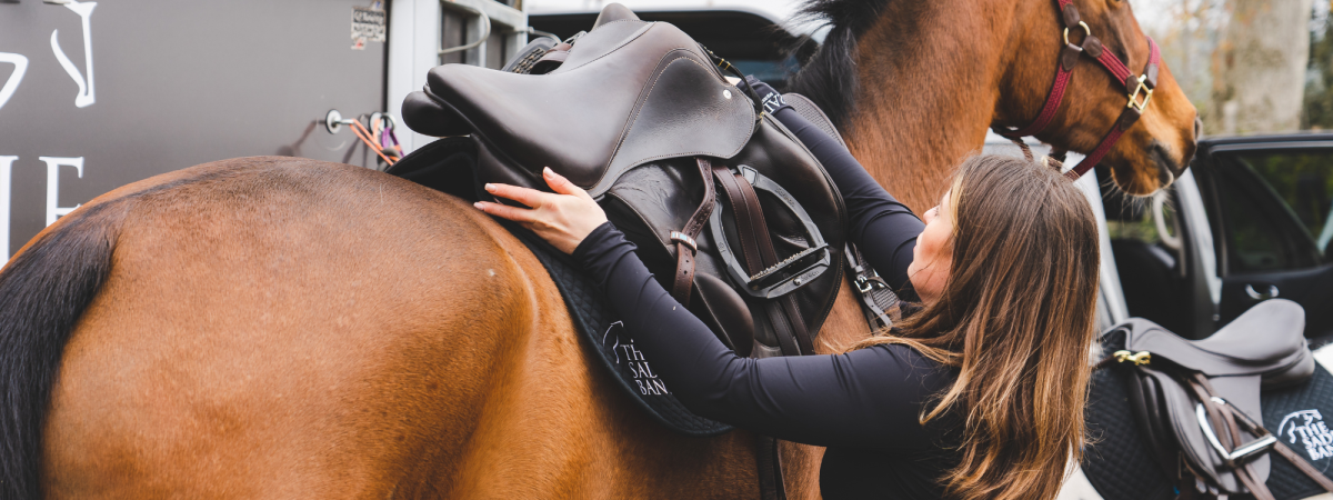 Introducing Louis Vuitton. - Exclusive Dressage Imports