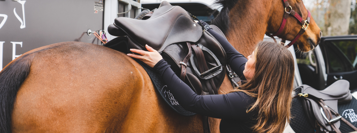 French saddle Brands French saddle Brands