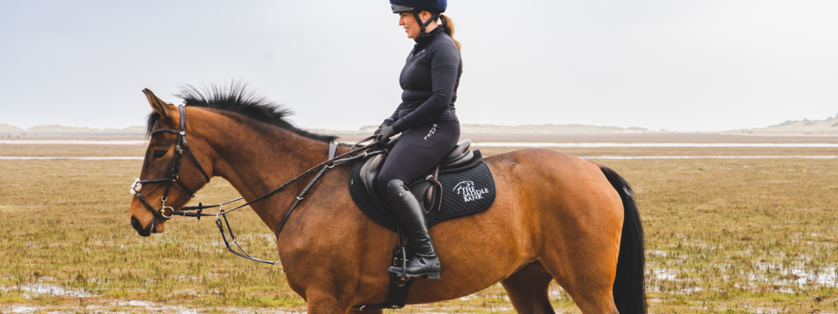 French saddles French saddles