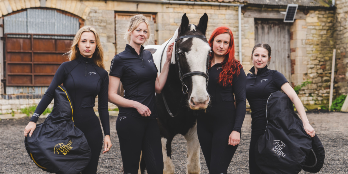 What is a cob horse? Cob horse with saddle bankers