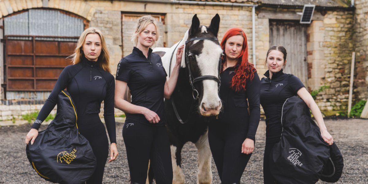 Cob horse with saddle bankers