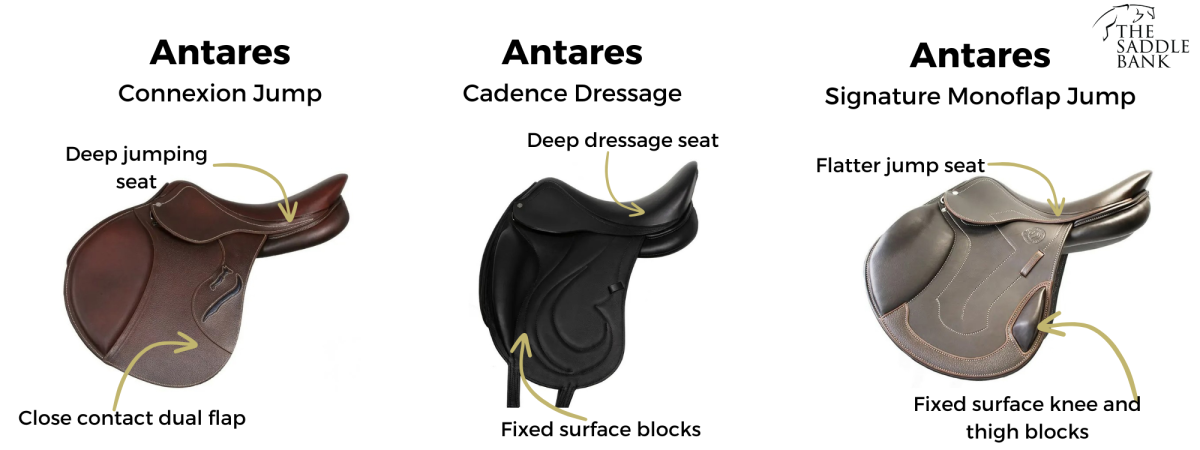 High end saddle brand Antares