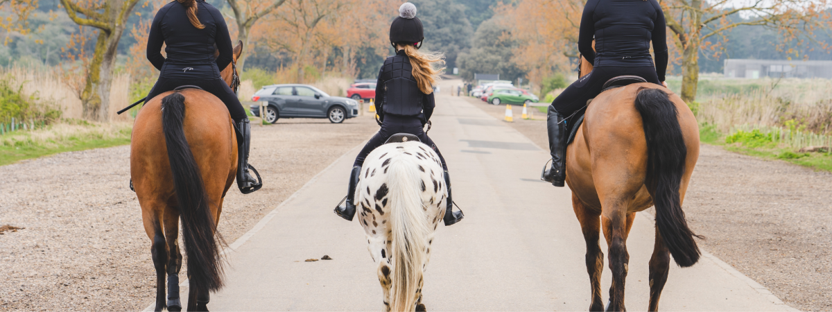 hacking gp saddle