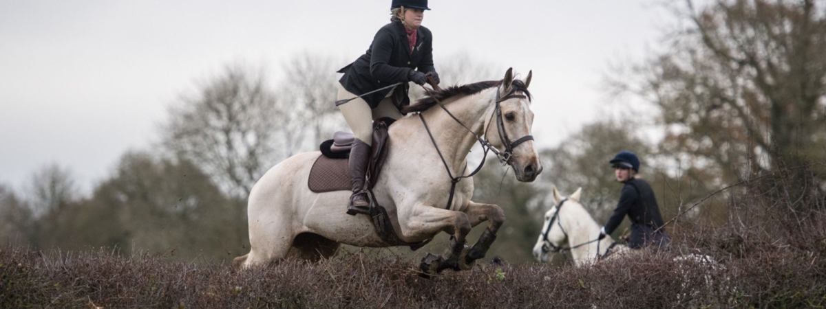 jumping hunting saddle