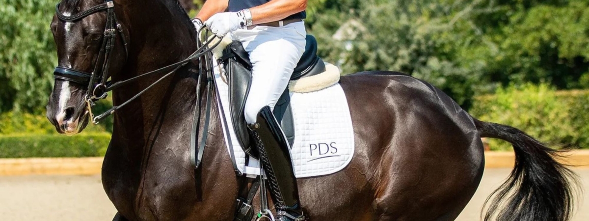 PDS Adjustable Dressage Saddle