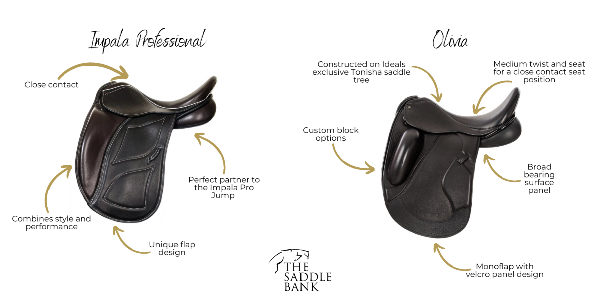 Ideal Impala Pro Dressage, Ideal Olivia Ideal Impala Pro Dressage, Ideal Olivia