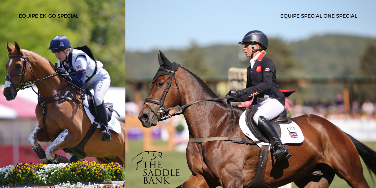 Laura Collett Ros Canter riding Equipe Saddle Laura Collett Ros Canter riding Equipe Saddle