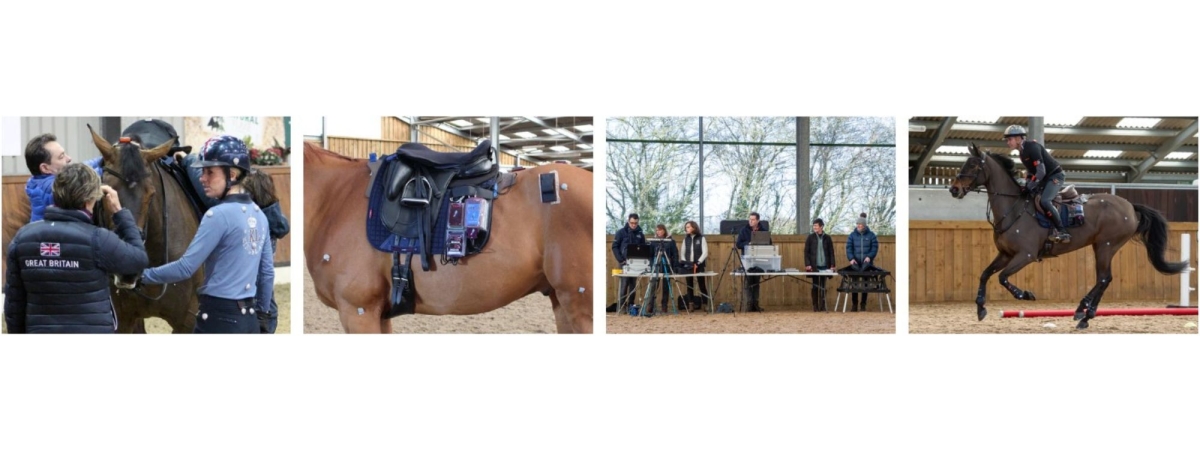 Fairfax Dressage Saddle